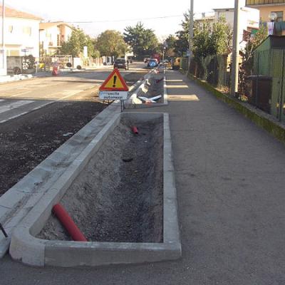 Bassanonet.it “Dove li mettono gli alberi per viale Montegrappa?”