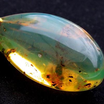 Bassanonet.it Ciao Darwin