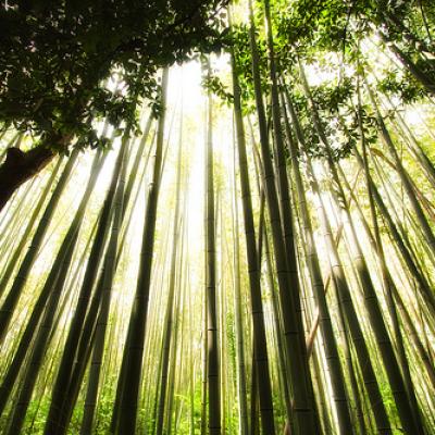 Bassanonet.it Giappone - Japon - Japan  - Nihon - Nippon