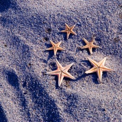 Bassanonet.it Jeans a “effetti speciali”