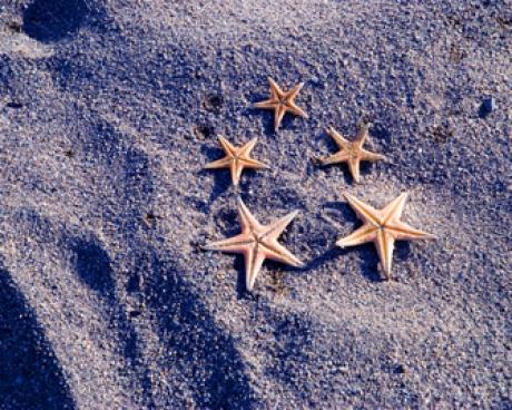 Bassanonet.it Jeans a “effetti speciali”