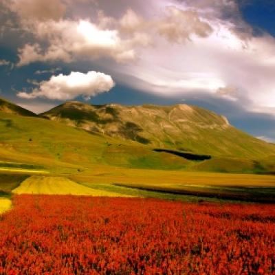 Bassanonet.it 17 marzo 2011: “Passione Italia - Una giornata italiana”