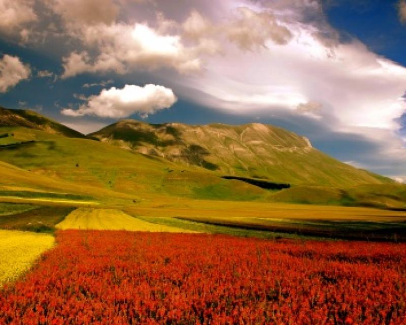 Bassanonet.it 17 marzo 2011: “Passione Italia - Una giornata italiana”