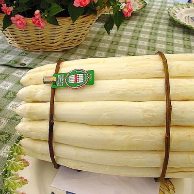 Bassanonet.it “Asparagi & Vespaiolo”: si alza il sipario