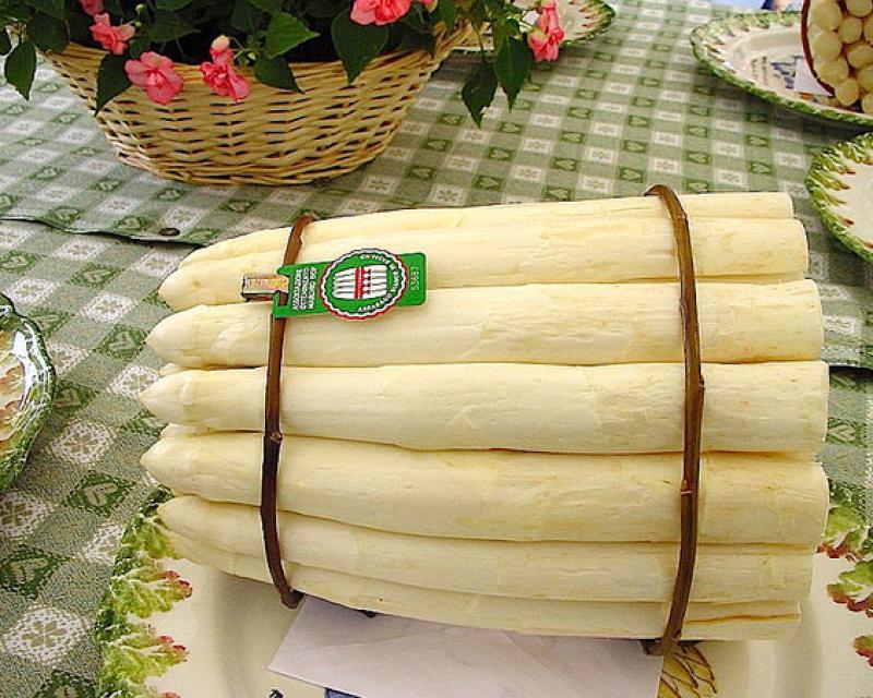 Bassanonet.it “Asparagi & Vespaiolo”: si alza il sipario