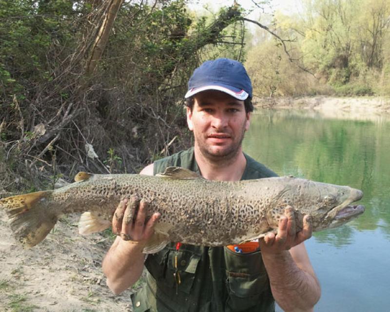 Bassanonet.it Trota record dal Brenta