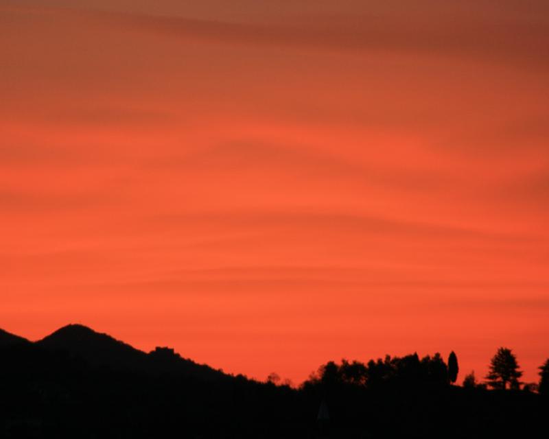 Bassanonet.it 4 passi sul ponte bassanese della cultura