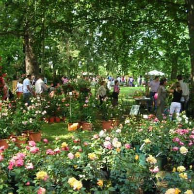 Bassanonet.it Rose in Villa Giusti - 9a edizione