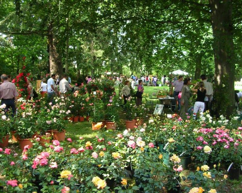 Bassanonet.it Rose in Villa Giusti - 9a edizione