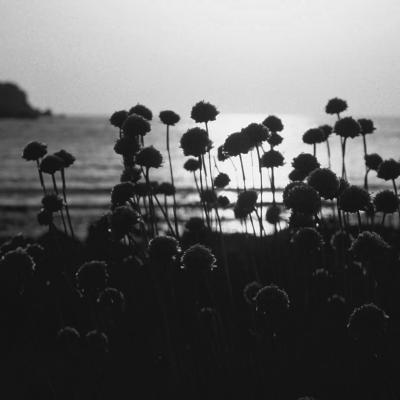 Bassanonet.it Nucleare e acqua bene comune