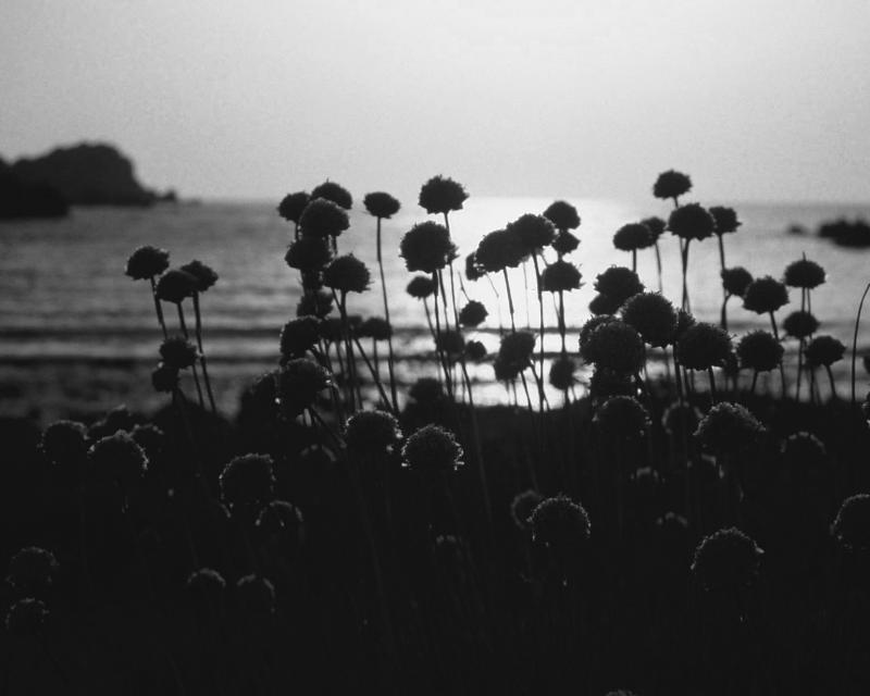 Bassanonet.it Nucleare e acqua bene comune