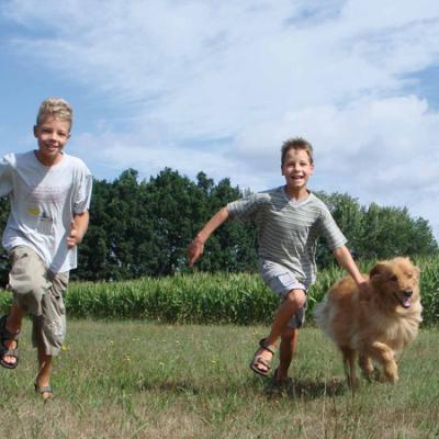 Bassanonet.it Famiglie affidatarie
