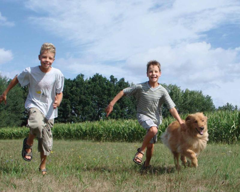 Bassanonet.it Famiglie affidatarie