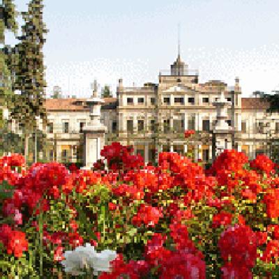 Bassanonet.it Sfondo fiabesco per la