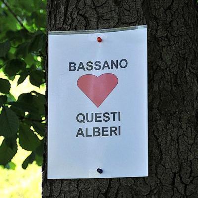 Bassanonet.it “Requiem” per gli alberi di salita Santa Caterina 