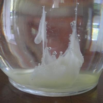 Bassanonet.it Barca de San Piero