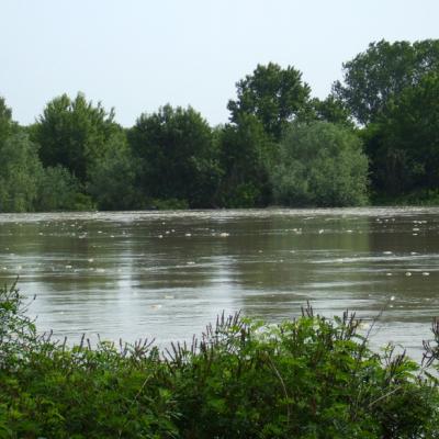 Bassanonet.it Un fiume e la sua storia