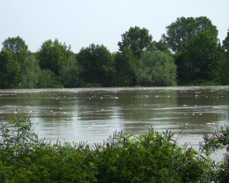 Bassanonet.it Un fiume e la sua storia