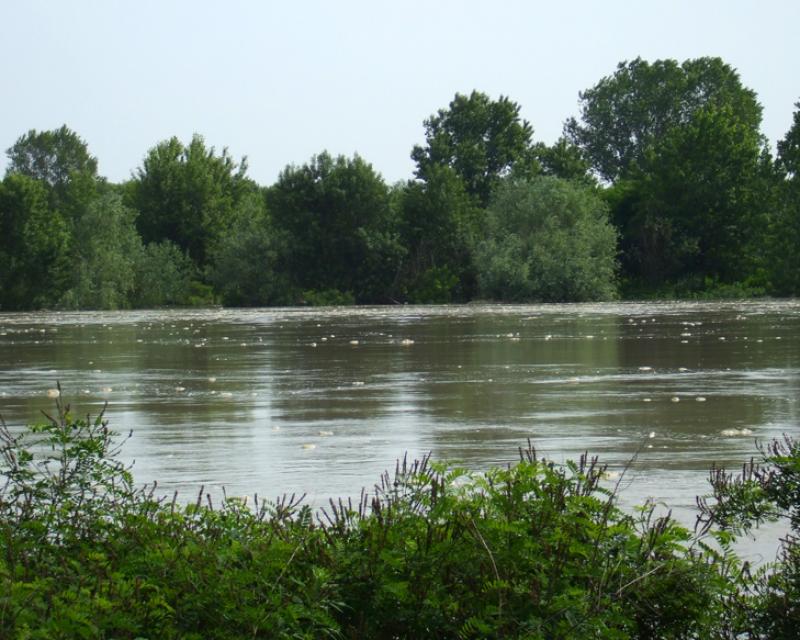 Bassanonet.it Un fiume e la sua storia