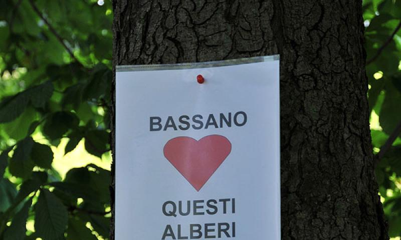 Bassanonet.it -