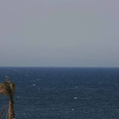 Bassanonet.it Paolo Ruffilli al Caffè dei Libri