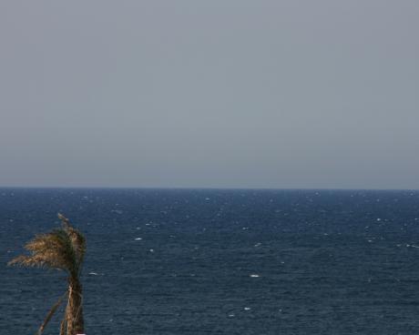 Bassanonet.it Paolo Ruffilli al Caffè dei Libri