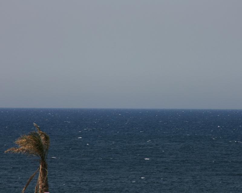 Bassanonet.it Paolo Ruffilli al Caffè dei Libri