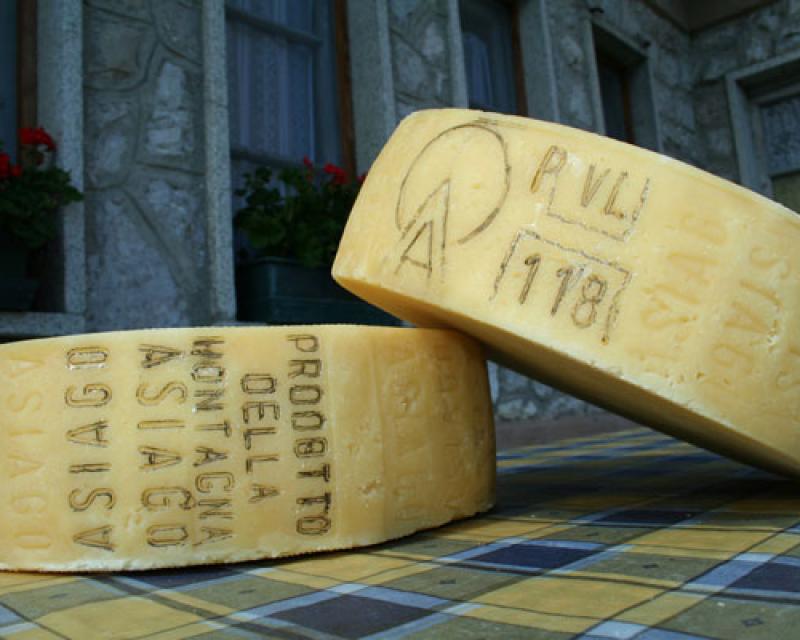 Bassanonet.it Ad Agosto brillano i formaggi sotto il cielo di Asiago