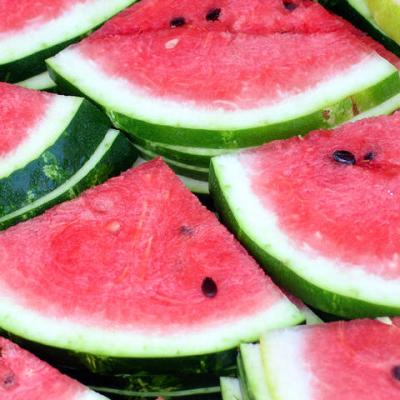 Bassanonet.it Ferragosto Vegano