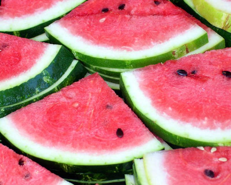 Bassanonet.it Ferragosto Vegano