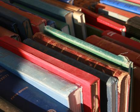 Bassanonet.it Libri al mercato