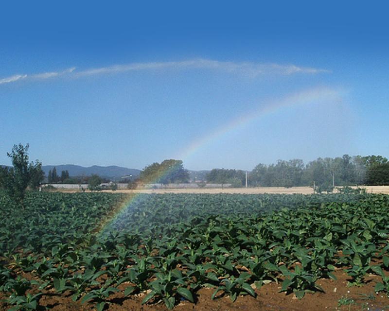 Bassanonet.it Quando la campagna ha sete