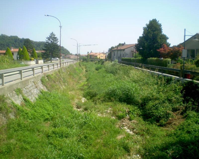 Bassanonet.it S.O.S. Longhella