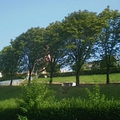 Bassanonet.it Il deserto dei Tartari