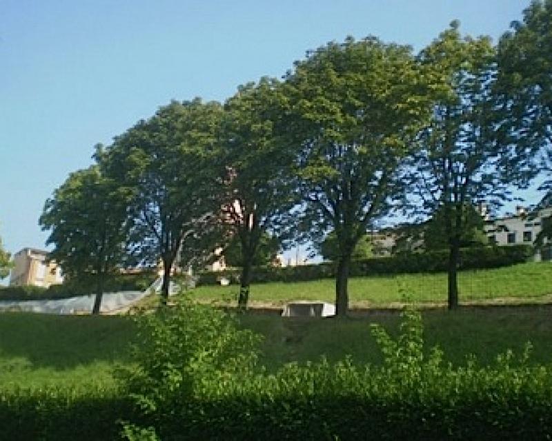 Bassanonet.it Il deserto dei Tartari