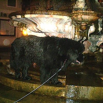 Bassanonet.it Stai fresco, Otto!