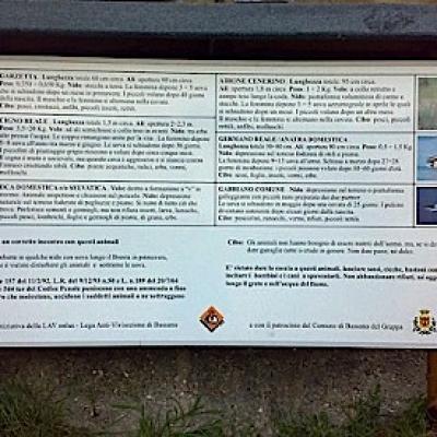 Bassanonet.it “Cambiamo il nome di via Macello”