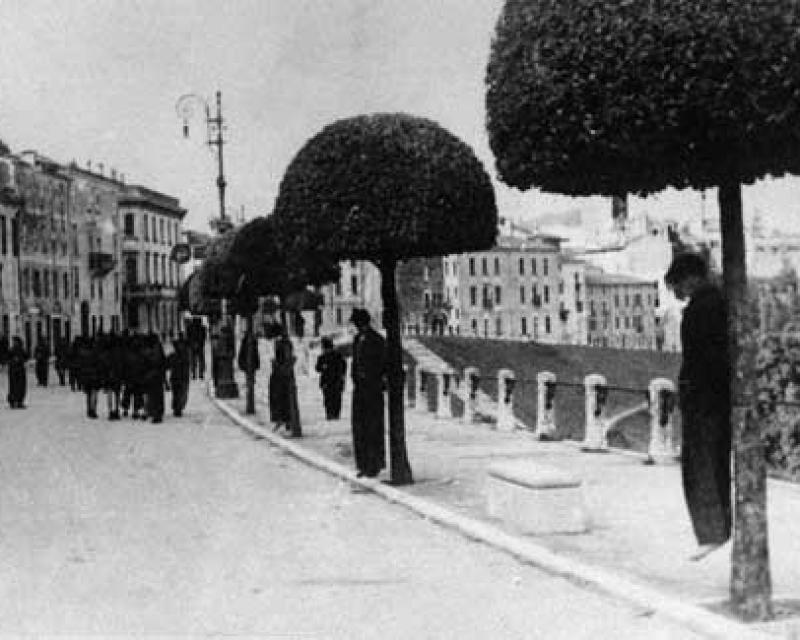 Bassanonet.it “Nuovi documenti sull'Eccidio del Grappa”