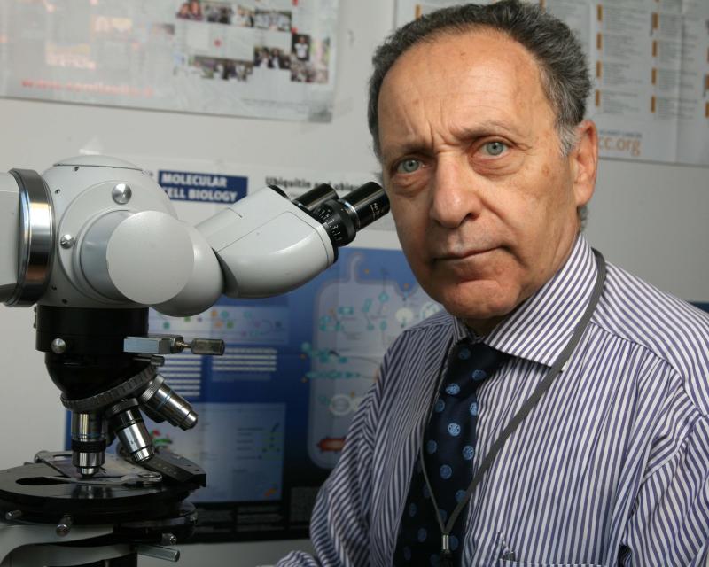 Bassanonet.it Un male incurabile?