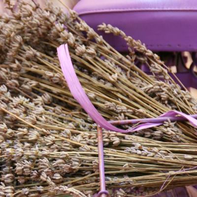 Bassanonet.it Breviario proustiano