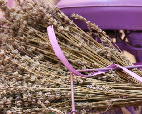 Bassanonet.it Breviario proustiano