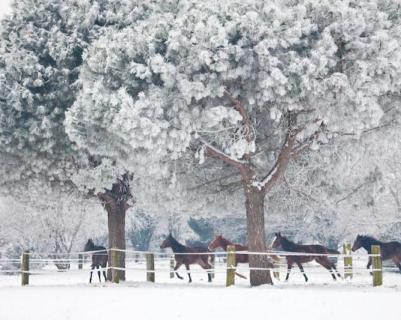 Bassanonet.it Scatti di solidarietà