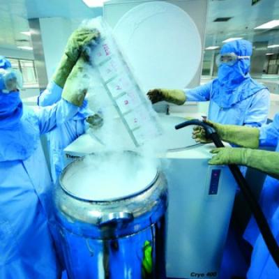 Bassanonet.it Le cellule della speranza