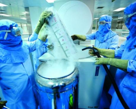 Bassanonet.it Le cellule della speranza