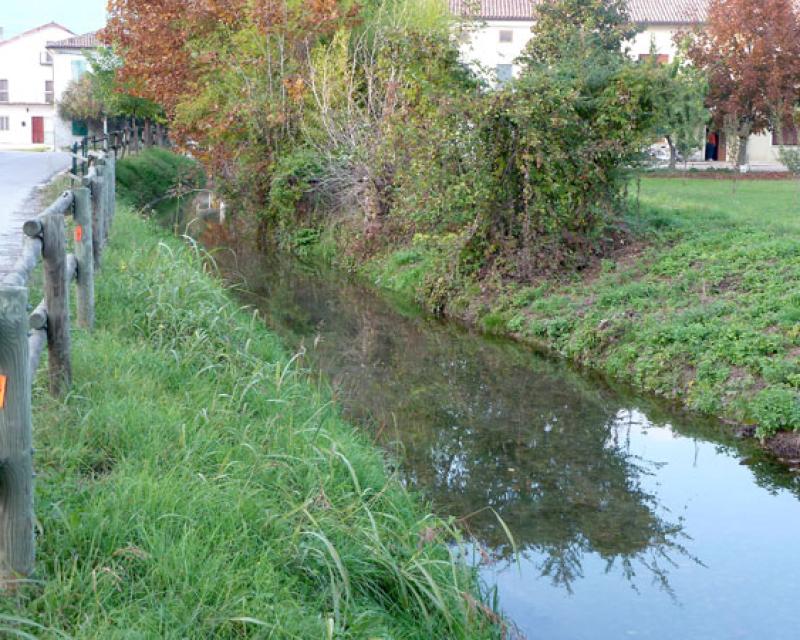 Bassanonet.it Se il cittadino dice “grazie”