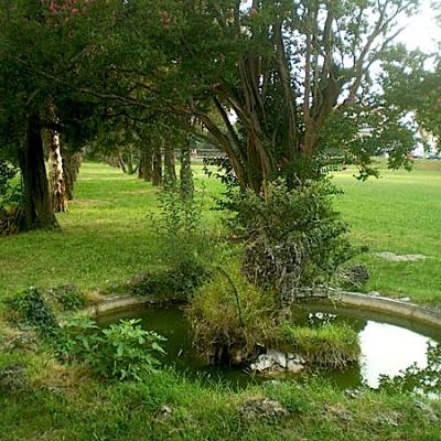 Bassanonet.it “Il brolo del Bonaguro torni ad essere brolo”