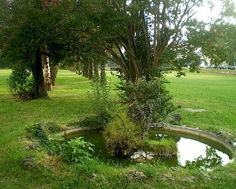 Bassanonet.it “Il brolo del Bonaguro torni ad essere brolo”