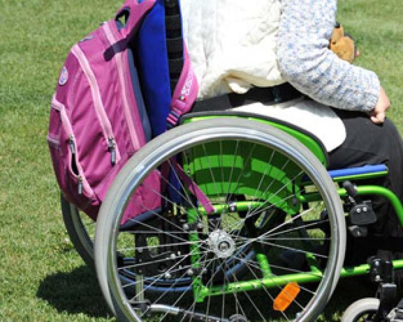 Bassanonet.it La scuola in libreria