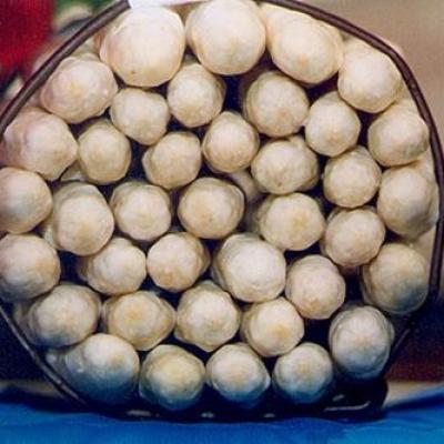 Bassanonet.it Asparagi e ristoratori: rivoluzione in vista?