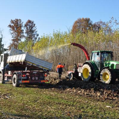 Bassanonet.it Quando l'acqua e il legno si incontrano
